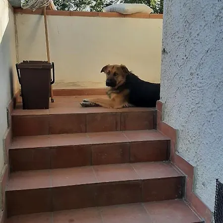 Io Chalet Di Max E Mela Δωμάτια σε οικογενειακή κατοικία Pontinvrea